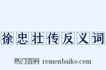 徐忠壮传反义词是什么意思的图片